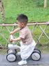 IMOMOTO儿童平衡车1-3岁宝宝无脚踏四轮防侧翻学步滑步车溜溜车周岁礼物 贝拉米【专为小童学步设计】 实拍图