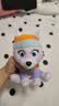 汪汪队立大功（PAW PATROL）毛绒玩具陪睡玩偶经典款珠珠小号坐姿公仔男女孩儿童生日礼物 实拍图