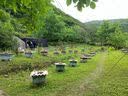 索迪儿童泡泡水补充液七彩浓缩液安全无毒3-6岁泡泡机枪超大装免兑水 实拍图