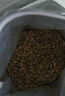 皇家猫粮 英短幼猫粮 BSK38 通用粮 4-12月 2KG 实拍图