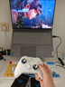 飞智冰原狼4多模版无线游戏手柄 类xbox 力调节摇杆双切扳机 switch电脑PC手机steam体感NS 仁王3 实拍图
