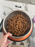 皇家狗粮老年成犬狗粮犬粮宠物大型犬SGR26全价犬粮≥5岁15KG 实拍图