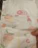 好奇（Huggies）铂金装小桃裤纸尿裤L76片(9-14kg)大号尿不湿【透爽散热】 实拍图