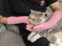 防猫抓手套宠物防咬加长耐撕咬抓狗狗鹦鹉小宠专用劳保工业手套猫猫爪子 【40cm加长】【1双】防猫抓咬手套【女款小一码】 实拍图