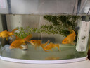 森森 小鲤鱼缸过滤器净水循环三合一内置水族箱过滤系统XQP-500F 6W 实拍图