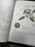 香典（手绘彩图修订版）中国古代天然香料与香文化通鉴古典文化古籍制香调香指南书古代物质文化书系 实拍图