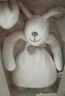澳贝（auby）婴幼儿玩具牙胶手摇铃新生儿礼盒兔子安抚巾毛绒玩偶满月见面礼物 实拍图
