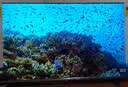 海信电视【价保618】E5Q 50英寸 超画质U+Mini LED 144Hz高刷 U+超画质引擎 Wi-Fi6 能效补贴 50E5Q 实拍图