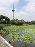 佳能（Canon）RF 50mm F1.8STM 小痰盂镜头大光圈 rf小痰盂镜头 拍人像全画幅微单定焦镜头 rf50 1.8 官方标配【京东多仓发~快可次日达】 实拍图