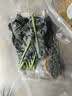 新鲜羽衣甘蓝生鲜蔬菜嫩叶云南甘兰芥蓝西餐沙拉榨汁减脂直播间 羽衣甘蓝减脂尝鲜装0.5斤 实拍图