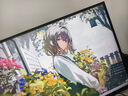 泰坦军团24.5英寸双侧入光屏 425Hz HDR600 FastIPS 硬件低蓝光 DyDs0.3ms 云上舞白 电竞显示器 仓刀X256K 实拍图