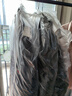 京东洗衣服务衣鞋任洗6件上门取送 干洗服务水洗去渍熨烫杀菌 实拍图