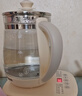 九阳（Joyoung）【价保618】0胶水养生壶 双层防磕防烫煮茶器 有钛发热盘烧水壶 大功率恒温水壶电热水壶WY540 实拍图