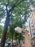 有棵树【医用级胶】胸贴女聚拢上托隐形小胸显大婚纱专用免穿内衣乳胸贴 实拍图