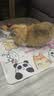 萌嘟星宠 宠物冰垫狗狗垫子防水猫咪凉垫夏天降温凉席猫窝狗窝猫狗垫 L号 实拍图