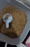 欧恩焙加拿大原装进口无谷低温烘焙配方英短渐层全阶段通用成猫幼猫粮 【2包装】无谷羊肉猫粮10磅/4.54kg 实拍图