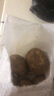 京喜加新鲜黄心土豆农家自种黄皮马铃薯黄心洋芋减脂早餐新鲜蔬菜 黄心土豆 3斤 净重 50g起/单果 实拍图
