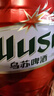 乌苏啤酒（wusu）大红乌苏烈性精酿小麦啤酒5L桶装京东自营端午送礼 实拍图