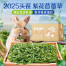 BCM烘干紫花苜蓿草 幼兔兔粮 干草兔子牧草龙猫荷兰猪磨牙饲料750g 实拍图