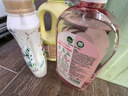 滴露（Dettol）香氛自然衣物消毒液1L*4  留香48H洗衣除汗臭 儿童玩具杀菌消毒水 实拍图