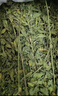 BCM烘干紫花苜蓿草 幼兔兔粮 干草兔子牧草龙猫荷兰猪磨牙饲料750g 实拍图