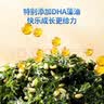 小鹿蓝蓝海苔夹心脆袋装零食孕妇儿童即食海苔饼干宝宝零食海苔碎 高钙奶酪肉松夹心海苔脆1袋 实拍图