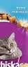 伟嘉猫粮成猫全价猫粮亮毛均衡营养10kg海洋鱼味夹心粮【原料透明】 实拍图