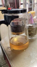 飘逸壶泡茶壶耐热高温玻璃沏茶过滤内胆冲茶器家用茶具套装 飘逸杯500mL1个 实拍图