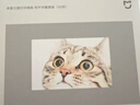 小米米家口袋打印相纸 热升华套装版（50张 ）适配于米家口袋照片打印机 Pro 实拍图