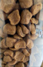 皇家猫粮 英短成猫粮 BS34 通用粮 12月以上 2KG 实拍图