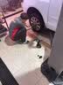 玛吉斯（MAXXIS）轮胎/汽车轮胎 185/60R14 82H EC1 适配绅宝D20/雪铁龙 实拍图