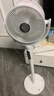 艾美特（AIRMATE）【净化驱蚊】空气循环扇电风扇家用大风力台式落地扇卧室超安静轻音节能AI语音智能遥控电扇SQR258 实拍图