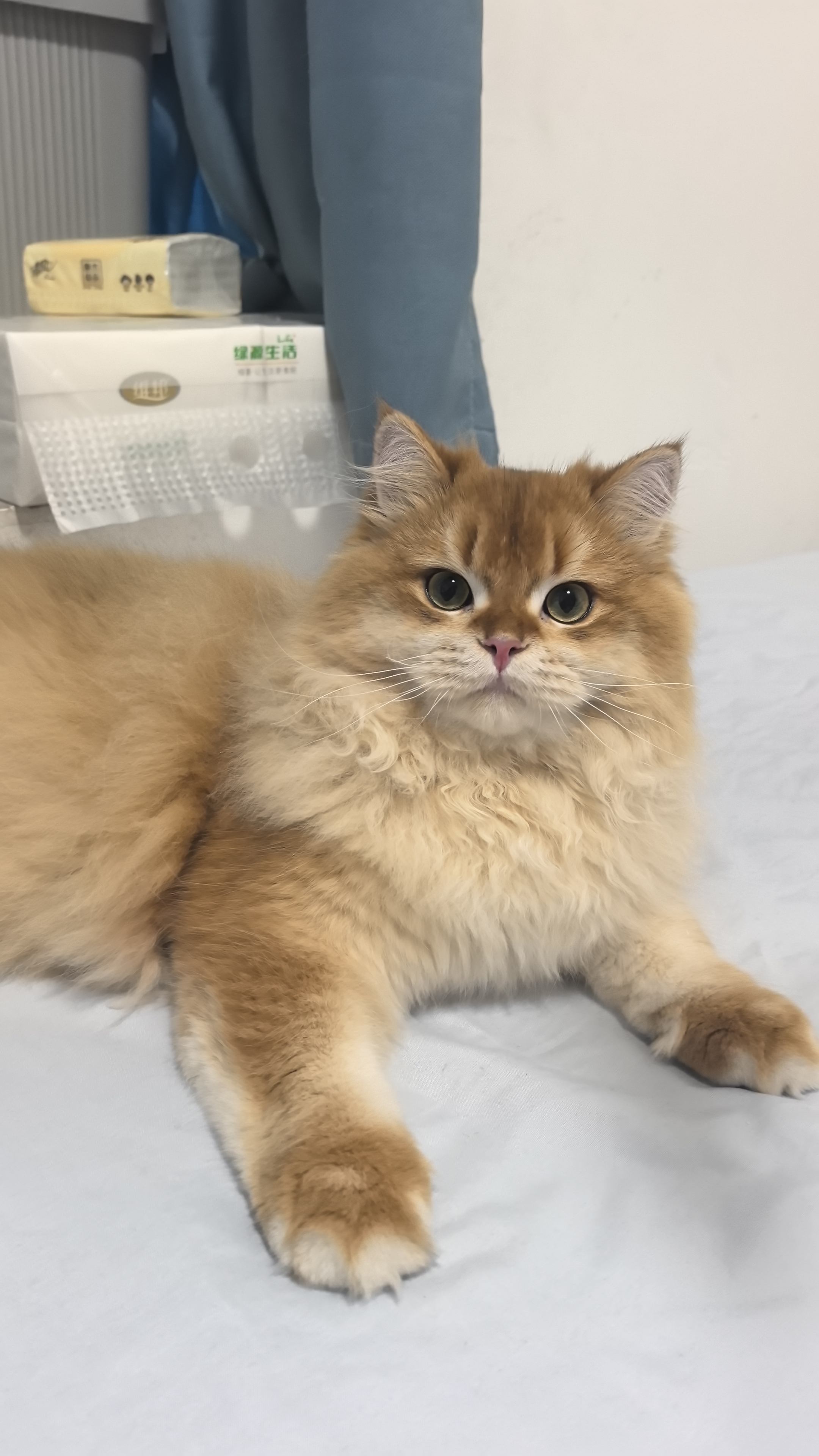 彪马（PUMA）经典休闲小白鞋男女款夏季白色运动板鞋CAVEN 384953 灰色-黑色-27 41 【偏小,建议拍大半码】 实拍图