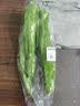 尖椒约300g 实拍图