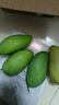 京觅四川攀枝花凯特芒果4.5-5斤装净重单果300g+甜芒果水果源头直发 实拍图