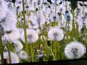 华硕ROG XG32UQDMS 32英寸4K显示器OLED电竞显示器4K 240Hz HDR400 Free Sync无撕裂HDMI 2.1 实拍图