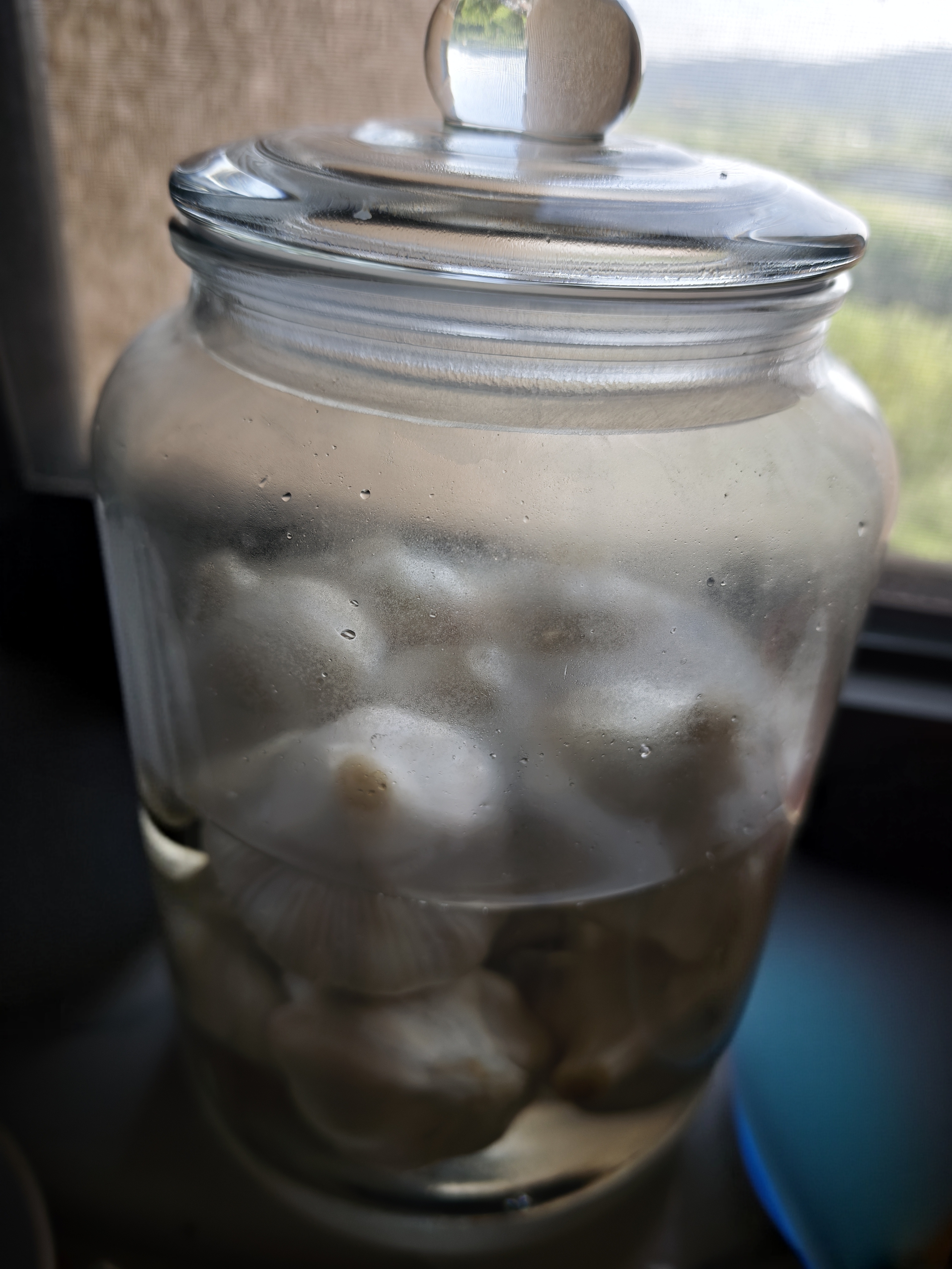 拜杰泡菜坛子玻璃瓶密封腌菜坛子酸咸菜罐子腌菜缸泡菜罐泡酒容器6斤 实拍图
