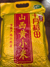 十月稻田 山西黄小米5斤 25年新米 小米黄小米 小米杂粮 早餐 粥 节日送礼 实拍图