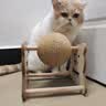 HELLOJOY逗猫咪玩具自嗨解闷猫抓板幼猫爪板小猫抓球耐抓不掉屑耐磨猫爬架 实拍图