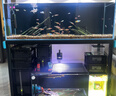 创宁水陆两用变频水泵静音过滤循环潜水泵CN9500-13W 10档流量调节 实拍图