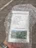 天府龙芽2026年雀舌特级高山绿茶毛尖四川茶叶明前新茶有机茶园清香自己喝 特级雀舌100g 实拍图
