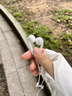 科沃【大师级调音】苹果15/16耳机有线type-c适用于iphone15/16promax/plus/iPad手机耳机 USB-C 实拍图