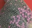 山山除甲醛变色魔豆1200g活性炭除异味去甲醛新房家用炭包甲醛清除剂 实拍图