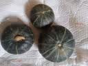 京鲜生 山东贝贝南瓜净3斤(粉糯瓜)中果300+蔬菜辅食板栗味源头直发 实拍图