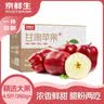 京鲜生 天水花牛苹果 净重4.5斤 单果 260g+ 生鲜水果源头直发 实拍图