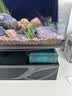 创宁水陆两用变频水泵静音过滤循环潜水泵CN9500-40W 10档流量调节 实拍图