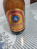 青岛啤酒（TsingTao）金质小棕金 低温酿造 296ml*24瓶 整箱装 实拍图