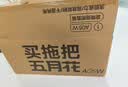 五月花旋转拖把带桶一套2头家用一拖净免手洗2026拖布吸水墩布杆长125cm 实拍图