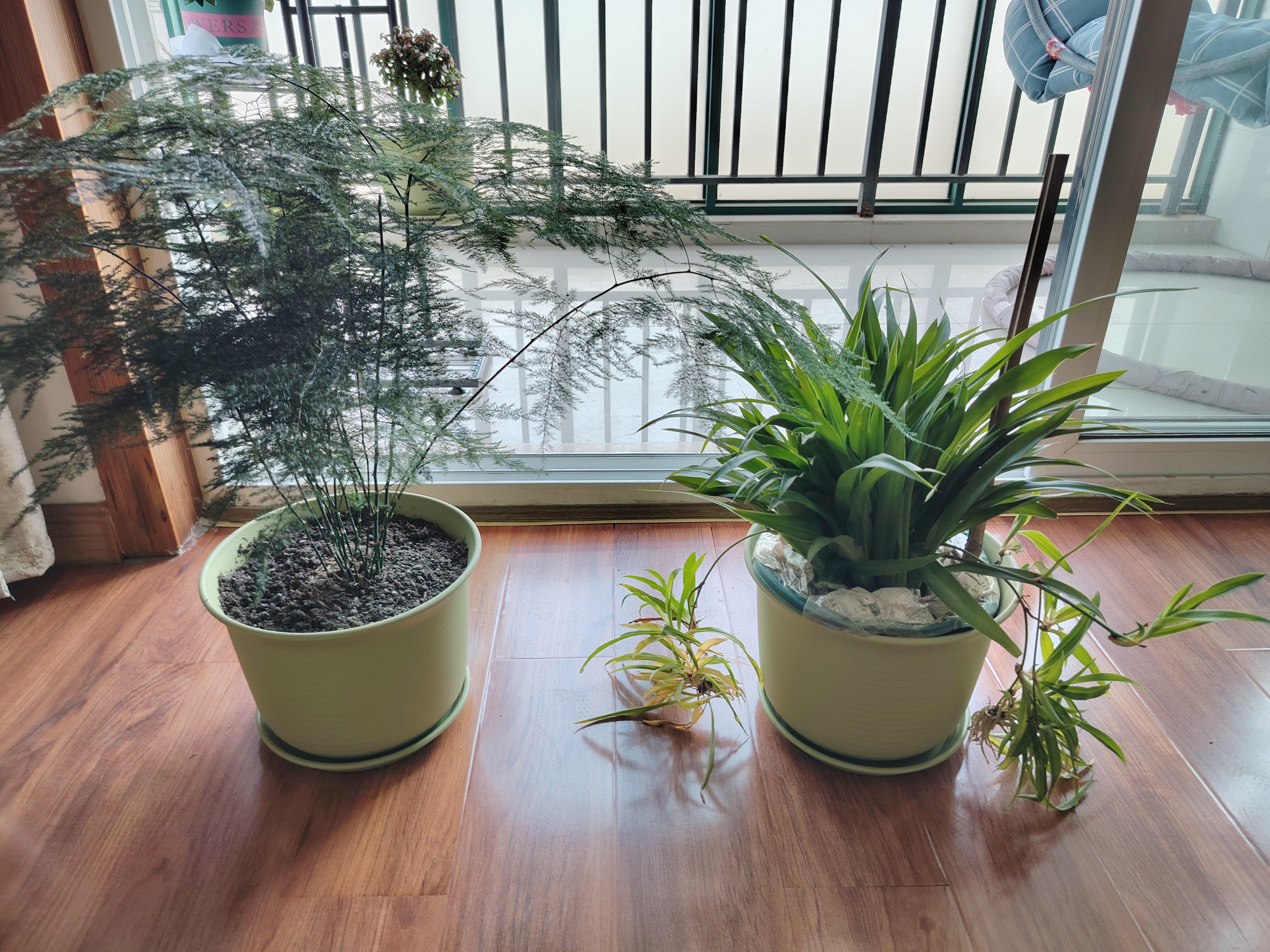 爱美花盆无异味树脂花盆仿陶瓷矮胖大号多肉加仑塑料透气花盆家用加厚耐用 185号苹果绿 1个装（送托盘） 实拍图