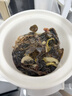 小熊（Bear）电炖锅 电炖盅 煮粥神器煲汤锅炖汤锅 BB煲婴儿煮粥锅熬粥宝宝炖盅小型1-2人辅食锅E15K2 1.5L 实拍图